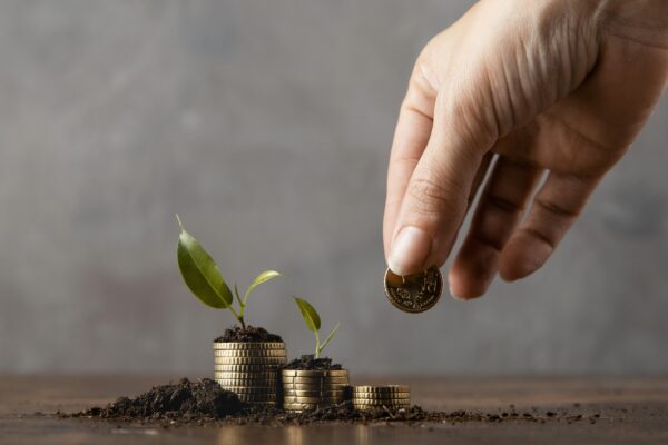 LessInvest.com: Redefining Investment for the Modern Saver LessInvest.com