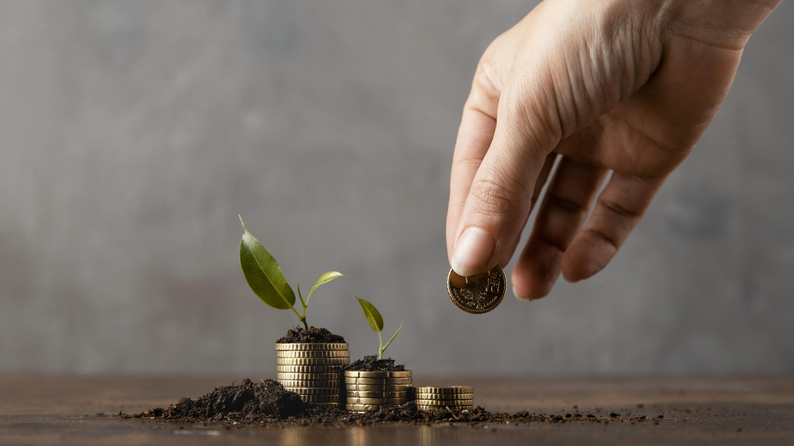 LessInvest.com