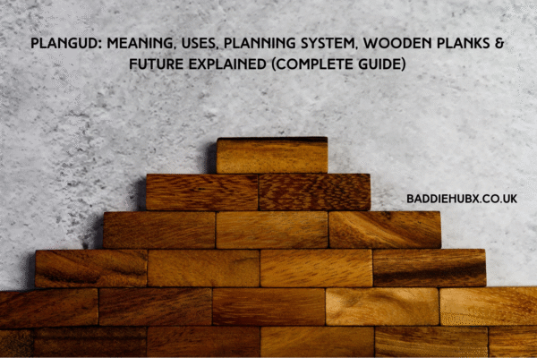 Plangud: Meaning, Uses, Planning System, Wooden Planks & Future Explained (Complete Guide)