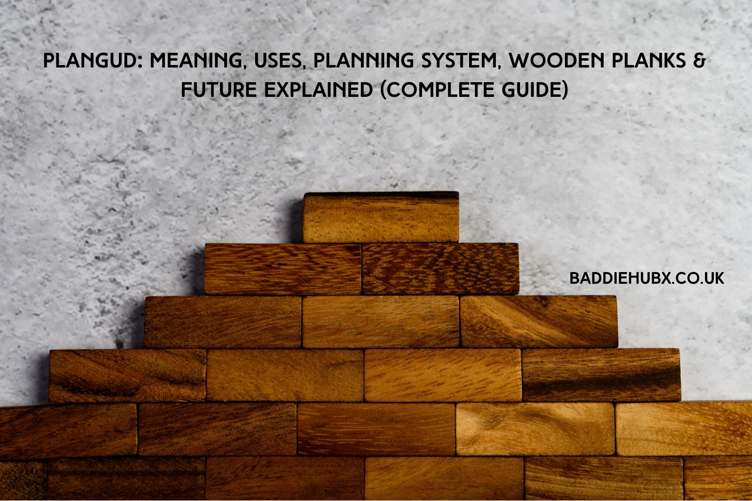 Plangud: Meaning, Uses, Planning System, Wooden Planks & Future Explained (Complete Guide)
